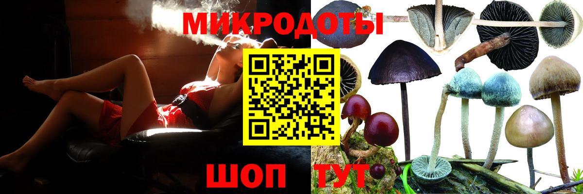Гуково  Псилоцибиновые грибы MAGIC MUSHROOMS  Вход с VPN 