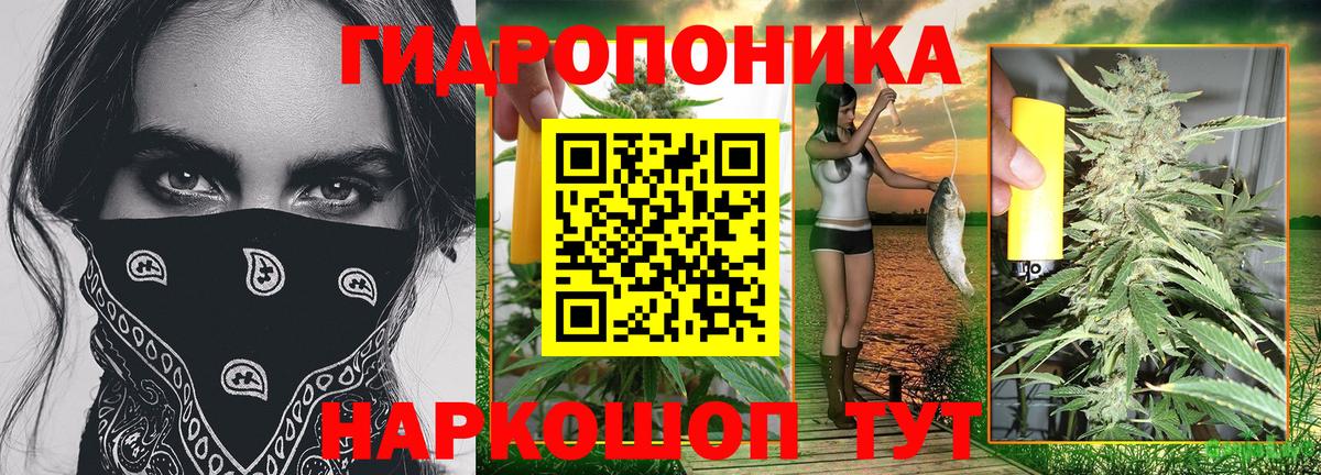 Канабис White Widow Гуково